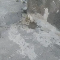 مرغ وخروس گلین