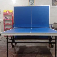 میز پینگ پنگ