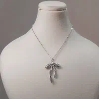 اکسسوری