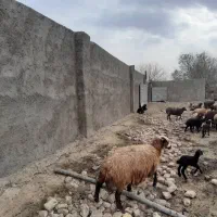 چهار-دیواری-مناسب-انبار
