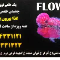 کترینگ فلاور آماده خدمت رسانی