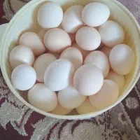 تخم مرغ محلی تازه وگلین