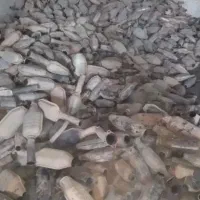 کاتالیز کاتالیست کاتالیزور