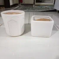دو عدد گلدان