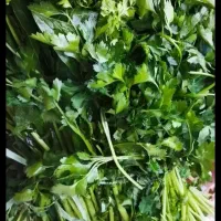 سبزی خانگی