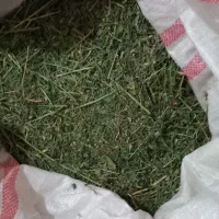 برگ یونجه تازه برای خرگوش
