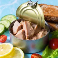 فروش ویژه انواع تن ماهی