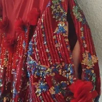 مجلسی  پولکی زیر قیمت