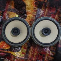 باند وضبط پژو