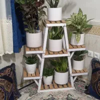 فروش انواع گل‌های آپارتمانی ، گلدان ، خاک