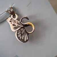پلاک لیزری s  زیبا