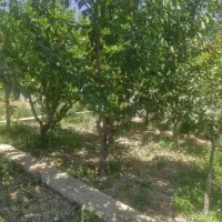 ویلای ۲۱۰ داخل بافت گاز برق آب کنتور اقبالیه