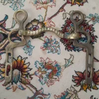 دهنه اسب برنجی