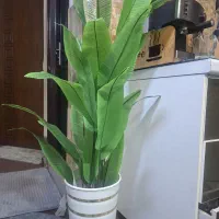 درختچه مصنوعی پرنده بهشتی ۱۶۰ سانتی با گلدان
