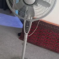 پنکه