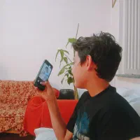 یک عدد سگ دستی
