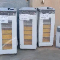 دستگاه جوجه کشی فقط یک عدد ۲۱۰عددی به قیمت قدیم