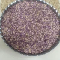 گل محمدی تازه تازه و بسیار خوشرنگ
