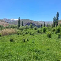 باغ  در روستای  زیبای  جوستان  طالقان