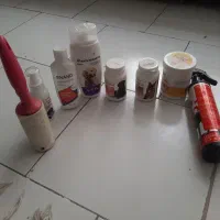 وسایلی کلی پت سگ هر چیزی که نیاز داشته باشید