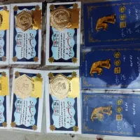 سکه پارسیان طلا سکه طلا گرمی