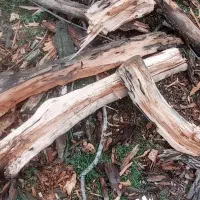 چوب زغالی برای بلال یا خانه باغی