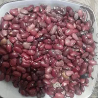 لوبیا قرمز