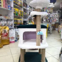 اسکرچر/ لانه/ درخت گربه