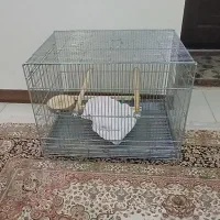 قفس غلامی