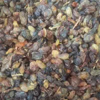 کارتنی کشمش فقط 175(پخش کشمش یکان بازار)