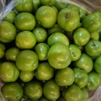 گوجه باغی
