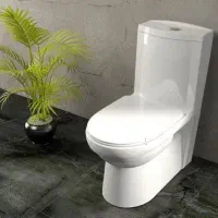 فرنگی گلسار نو با کارتن
