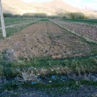 زمین کشاورزی ۲۵ جریب یک میلیاردچادگان قلعه شاهروخ