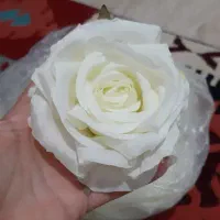 بک گراندو میز وگل