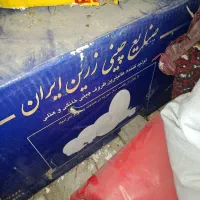 ظروف چینی زرین