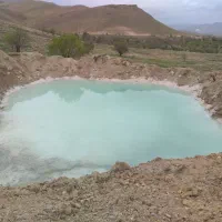نشاء گوجه
