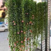آویز شمشاد