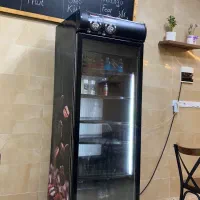 یخچال ویترینی،یخچال دو درب و بار