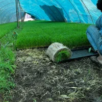 نیروی کار آقا جذب نیرو کارگر ساده