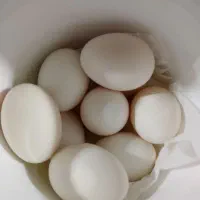 تخم مرغ لاری