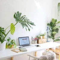نیروی خدماتی خانم برای کار در شرکت