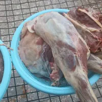 گوشت بز