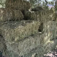 پرس یونجه درجه ۱