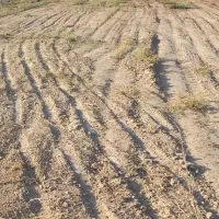 فروش ویلا ۴۰۰۰مترآبادان جرف روبه جزیره مینو