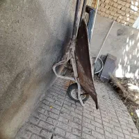 فرقون ورق ضخیم