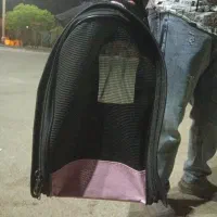 باکس گربه