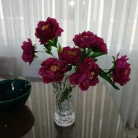 گل زیبا