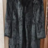 پالتو پوست طبیعی خرس