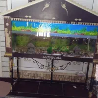 فروش آکواریوم