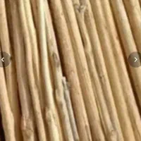خریدار چوب تر وخشک